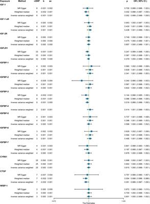 Controversial causal association between IGF family members and osteoporosis: a Mendelian randomization study between UK and FinnGen biobanks